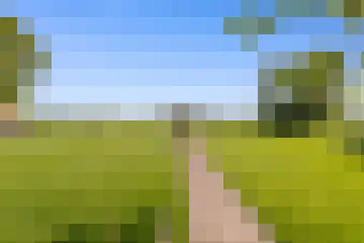 de Brand 4 Rucphen thumbnail 53