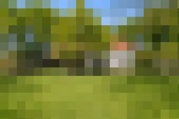 de Brand 4 Rucphen thumbnail 56