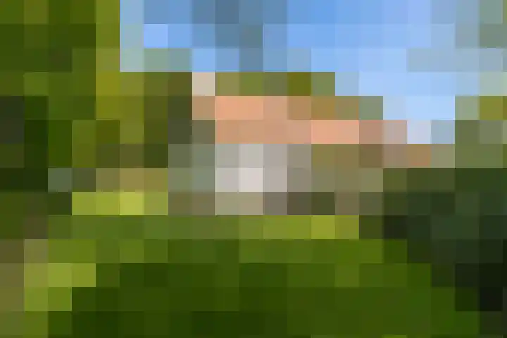 de Brand 4 Rucphen thumbnail 57