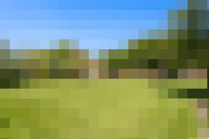de Brand 4 Rucphen thumbnail 58