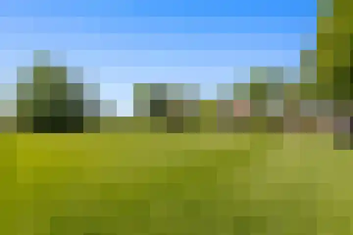 de Brand 4 Rucphen thumbnail 62