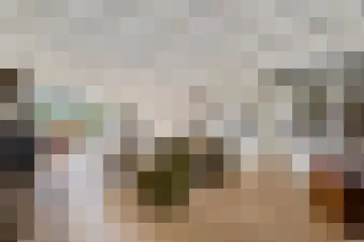 de Brand 4 Rucphen thumbnail 7
