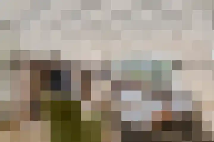 de Brand 4 Rucphen thumbnail 9