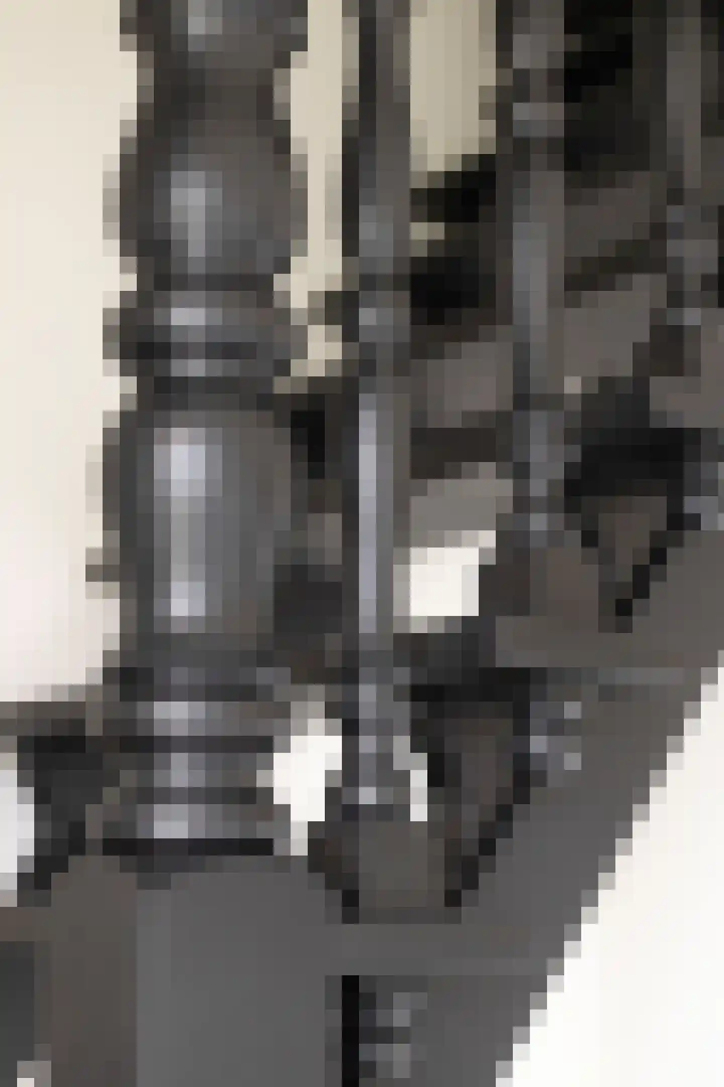de Branden 18 Sprundel thumbnail 12