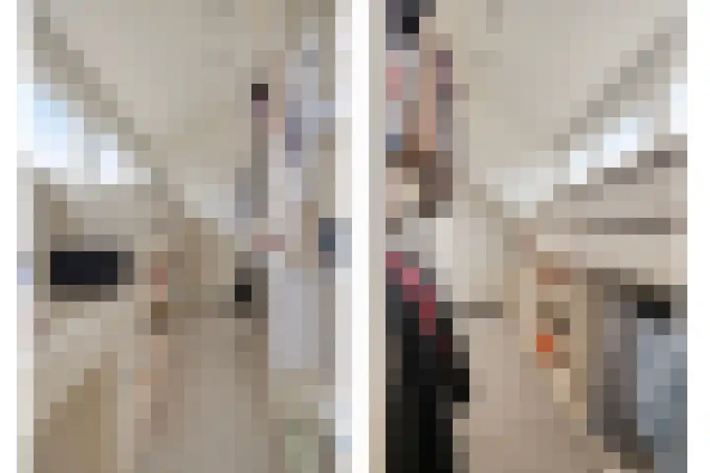 de Branden 18 Sprundel thumbnail 24