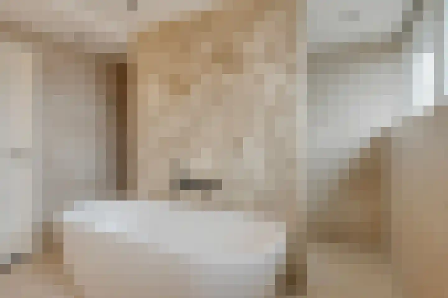 de Branden 18 Sprundel thumbnail 37