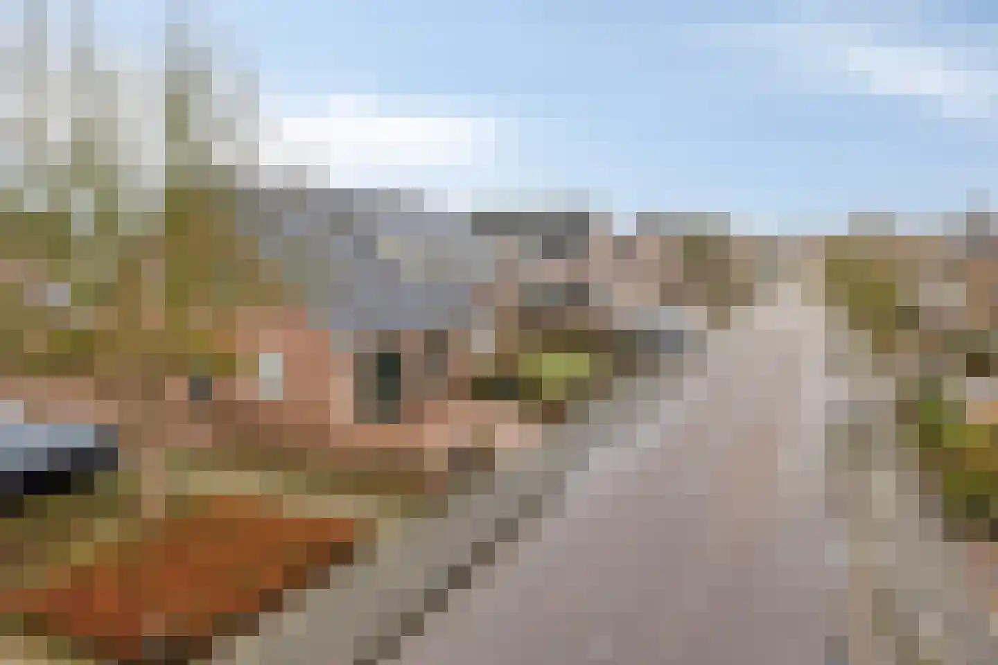 de Branden 18 Sprundel thumbnail 4
