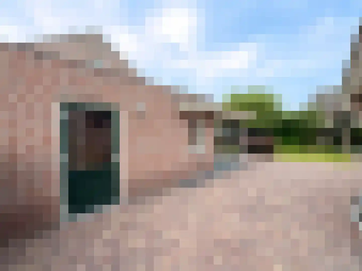 de Branden 18 Sprundel thumbnail 43