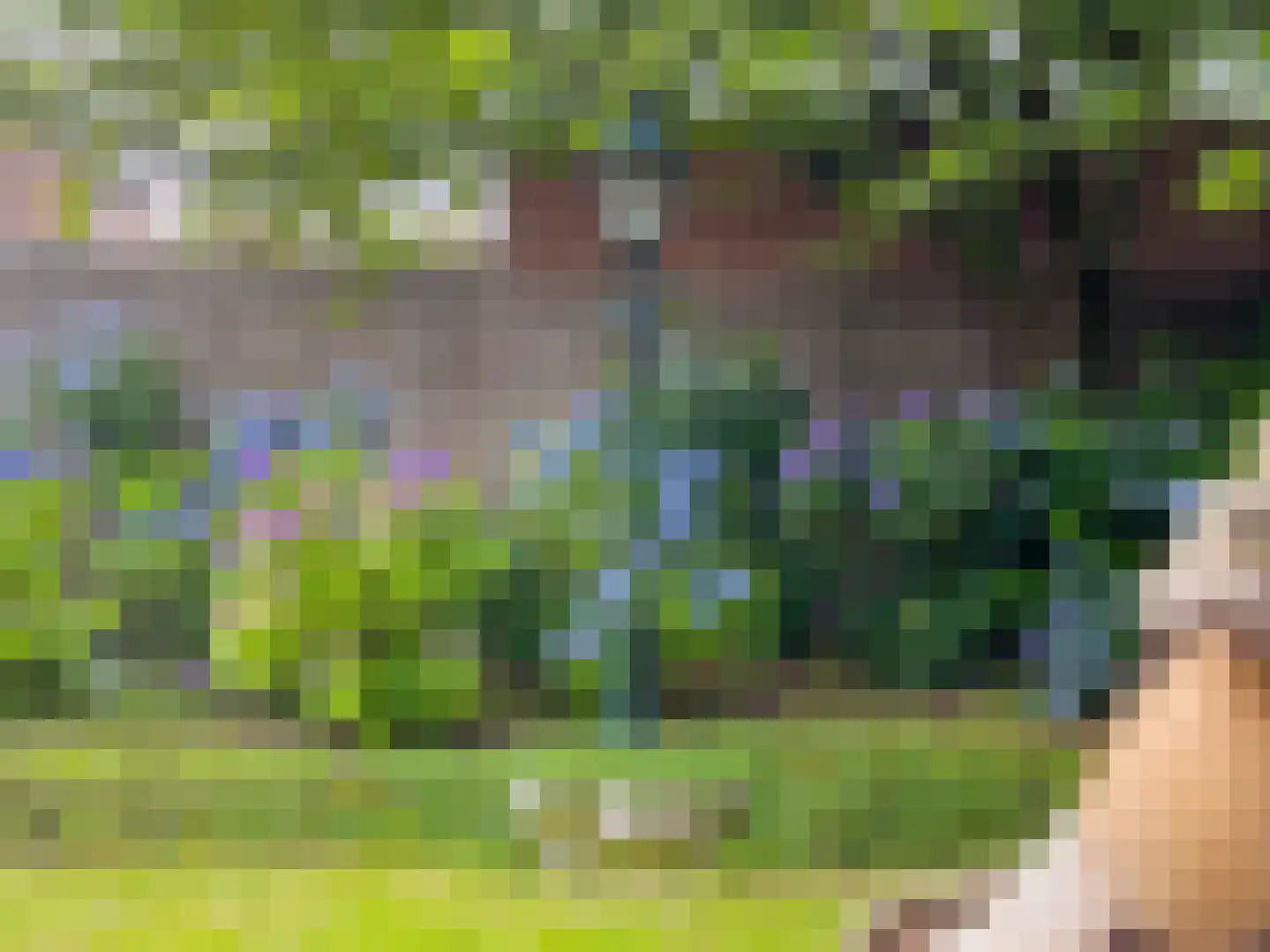 de Branden 18 Sprundel thumbnail 45