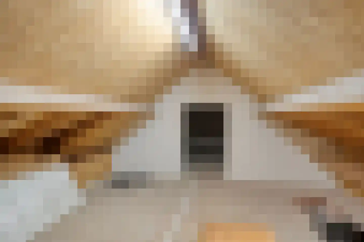 de Branden 18 Sprundel thumbnail 47