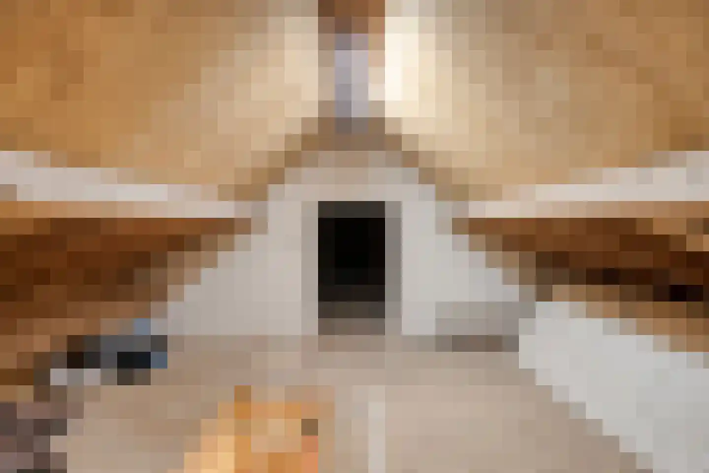 de Branden 18 Sprundel thumbnail 48