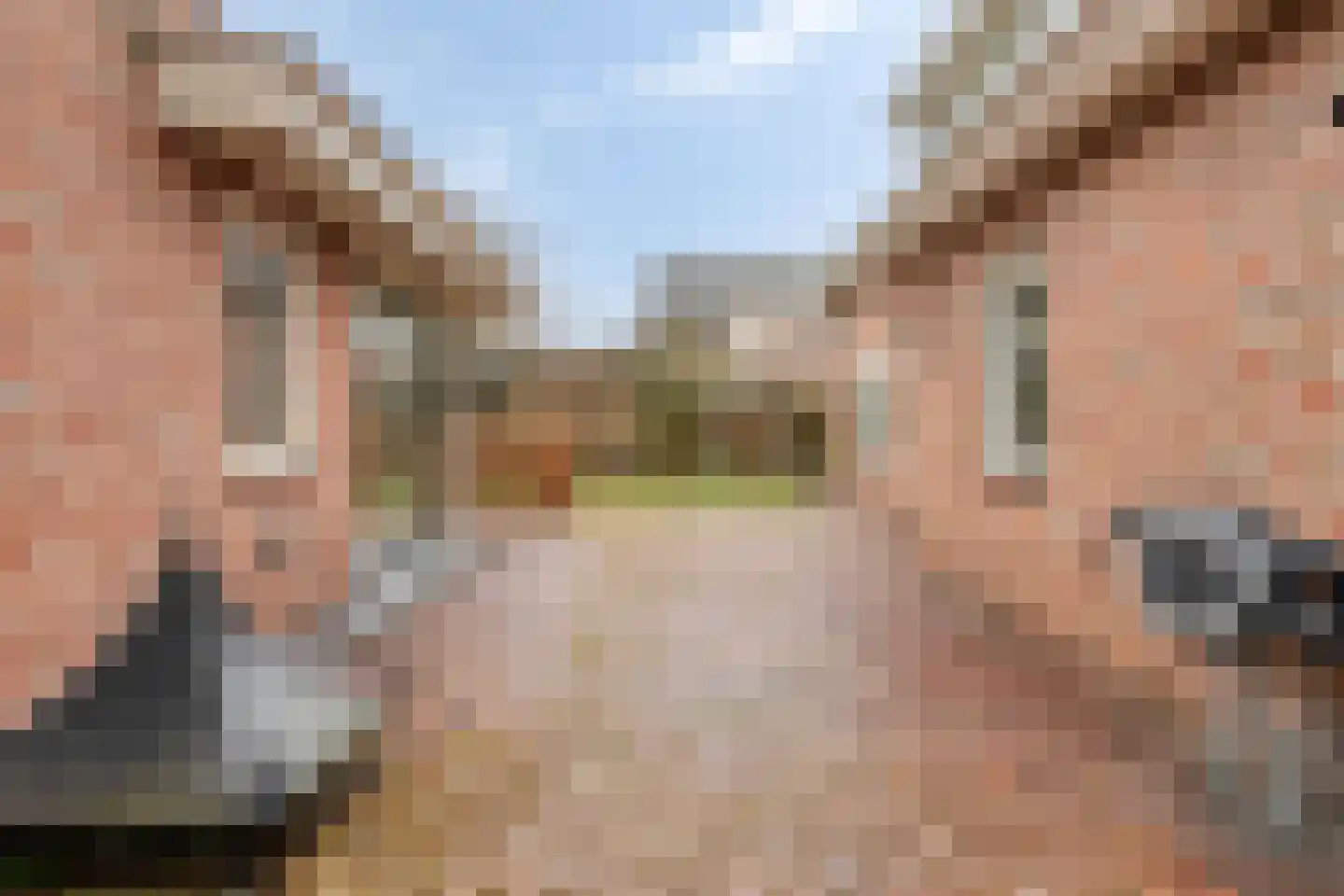 de Branden 18 Sprundel thumbnail 51