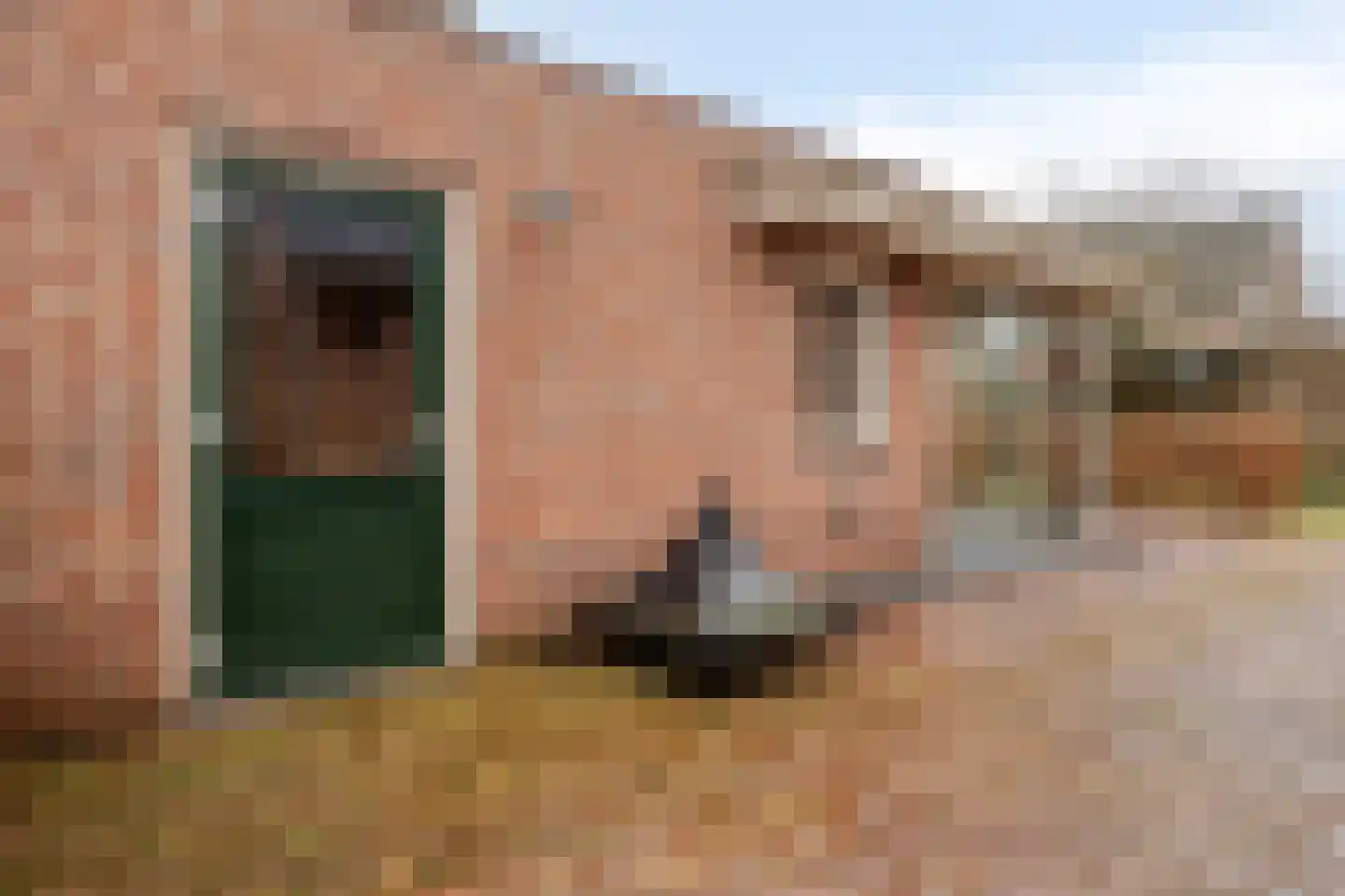 de Branden 18 Sprundel thumbnail 53