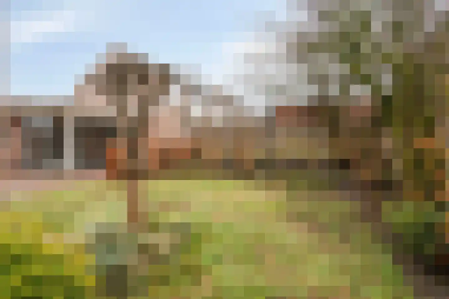 de Branden 18 Sprundel thumbnail 55