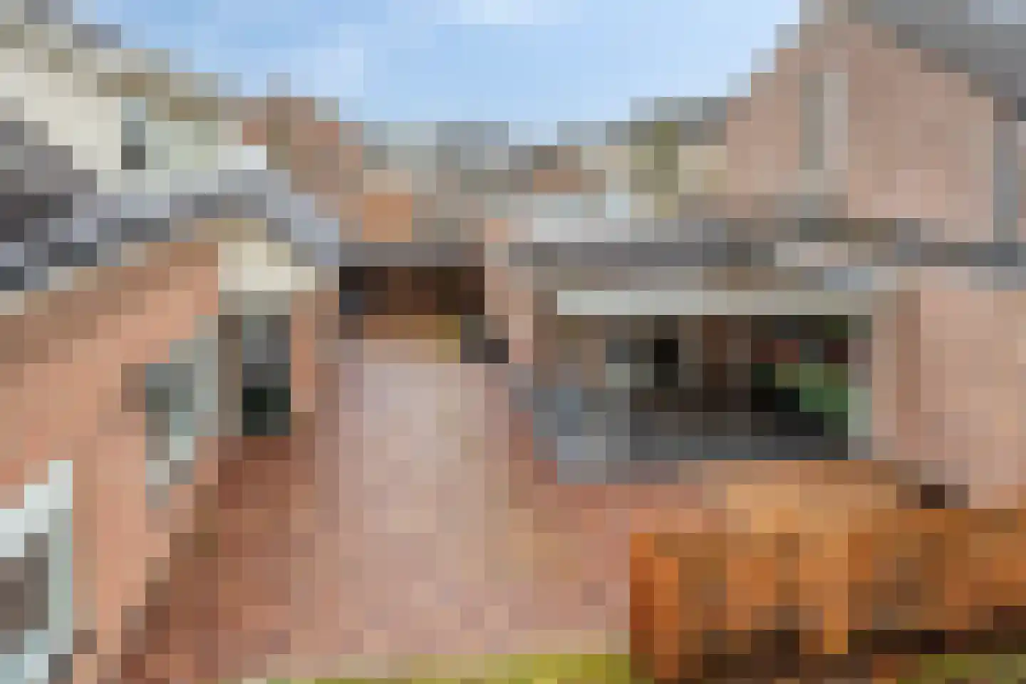 de Branden 18 Sprundel thumbnail 60