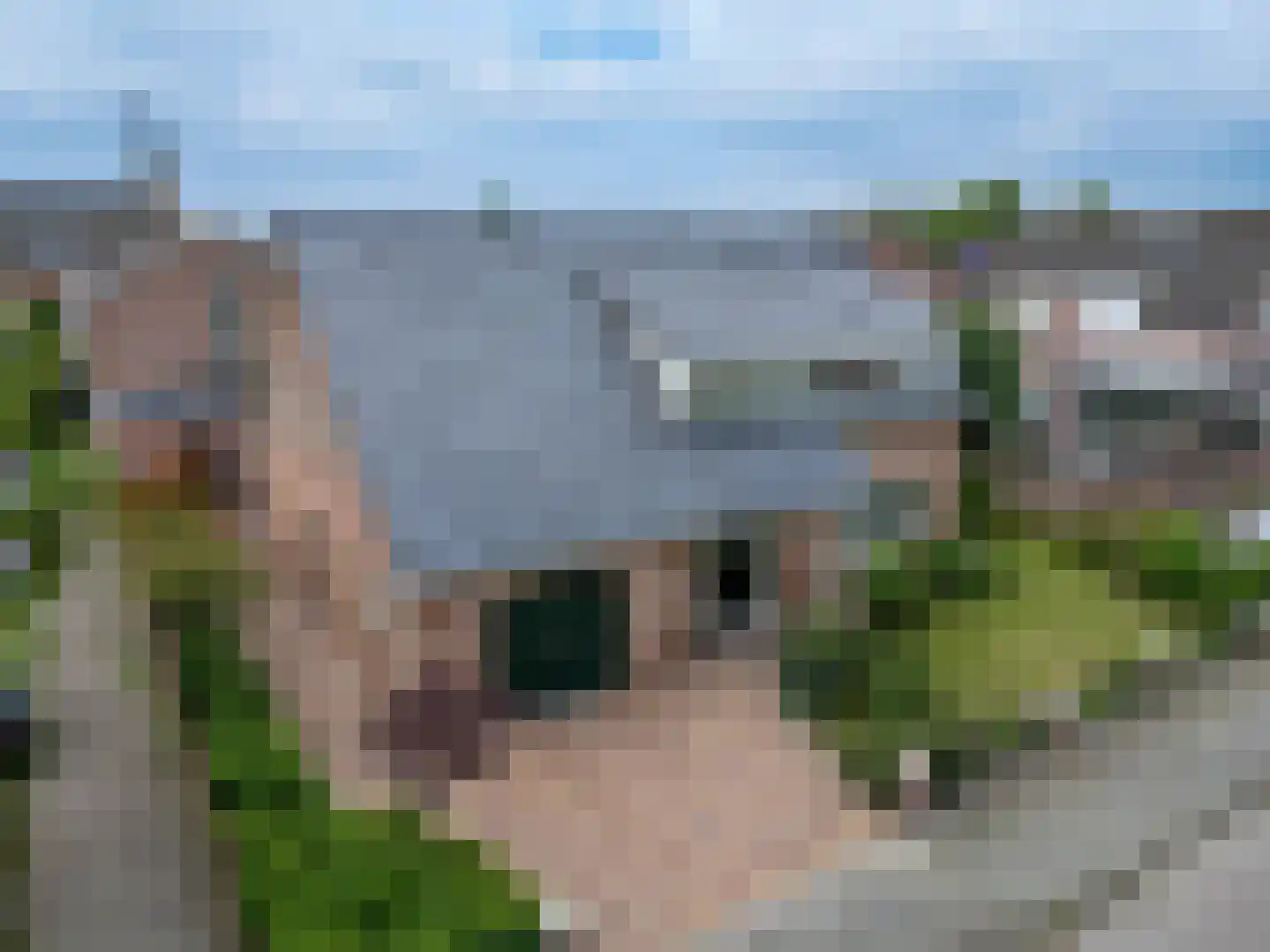 de Branden 18 Sprundel thumbnail 7