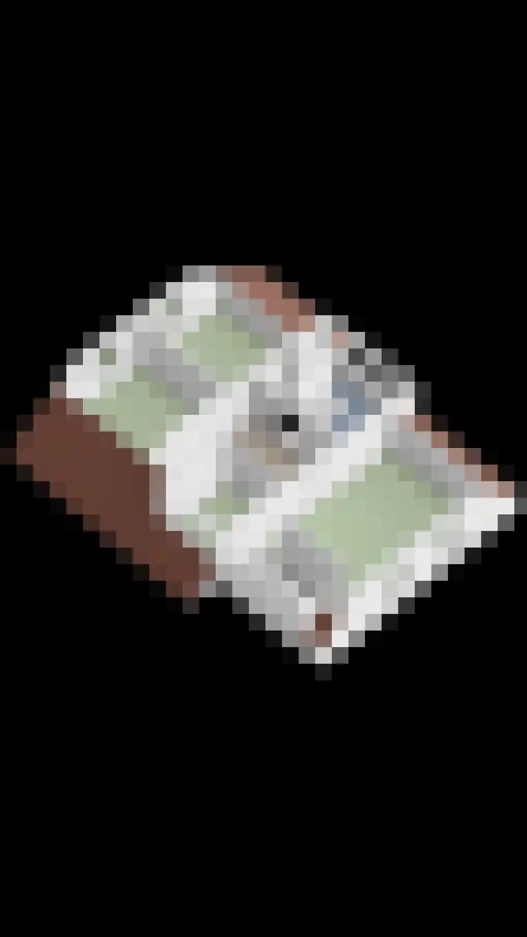 de Branden 18 Sprundel thumbnail 79