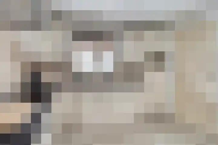 de Branden 21 Sprundel thumbnail 14