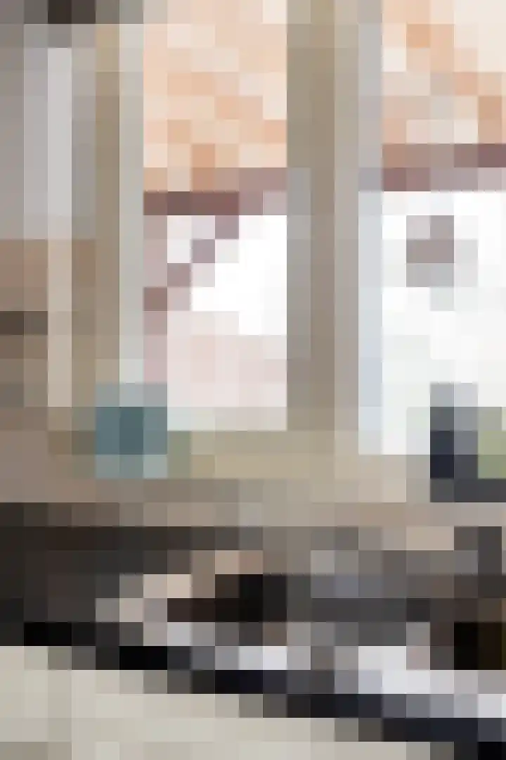 de Branden 21 Sprundel thumbnail 16