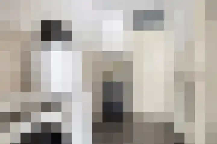 de Branden 21 Sprundel thumbnail 18