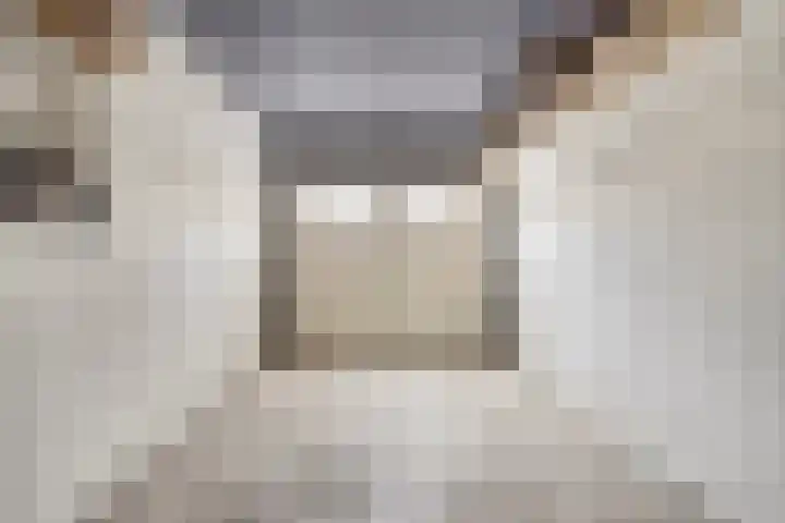 de Branden 21 Sprundel thumbnail 19