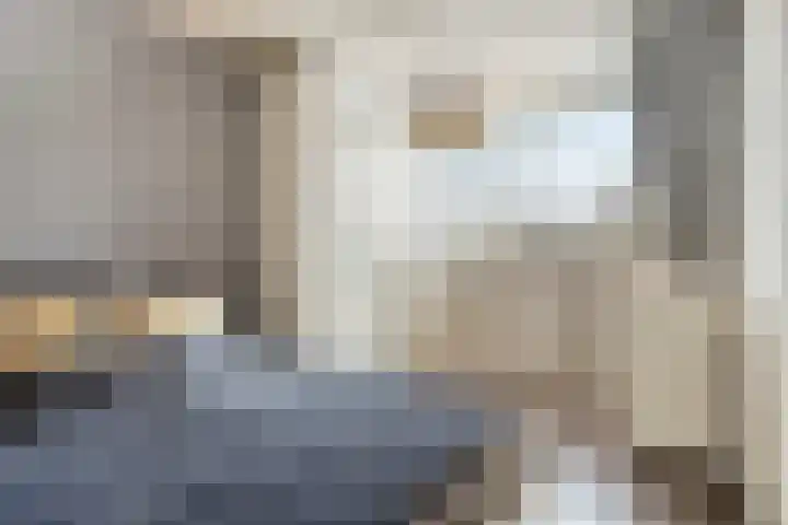 de Branden 21 Sprundel thumbnail 21