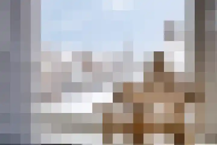 de Branden 21 Sprundel thumbnail 29