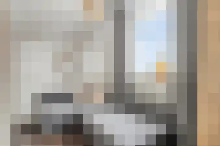 de Branden 21 Sprundel thumbnail 30