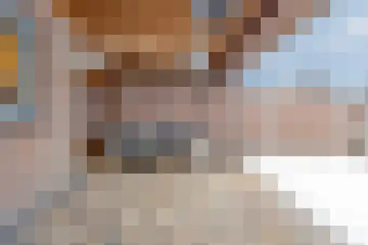 de Branden 21 Sprundel thumbnail 33