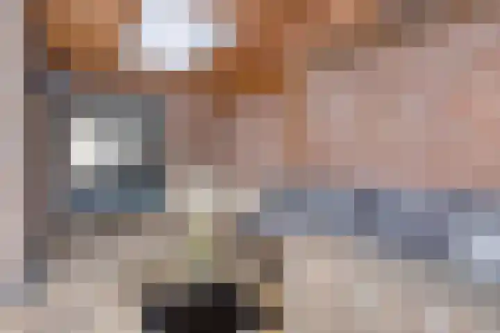 de Branden 21 Sprundel thumbnail 34