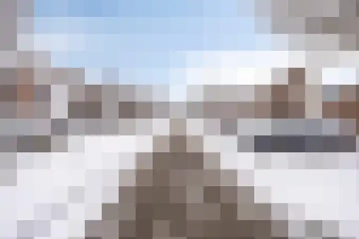 de Branden 21 Sprundel thumbnail 39