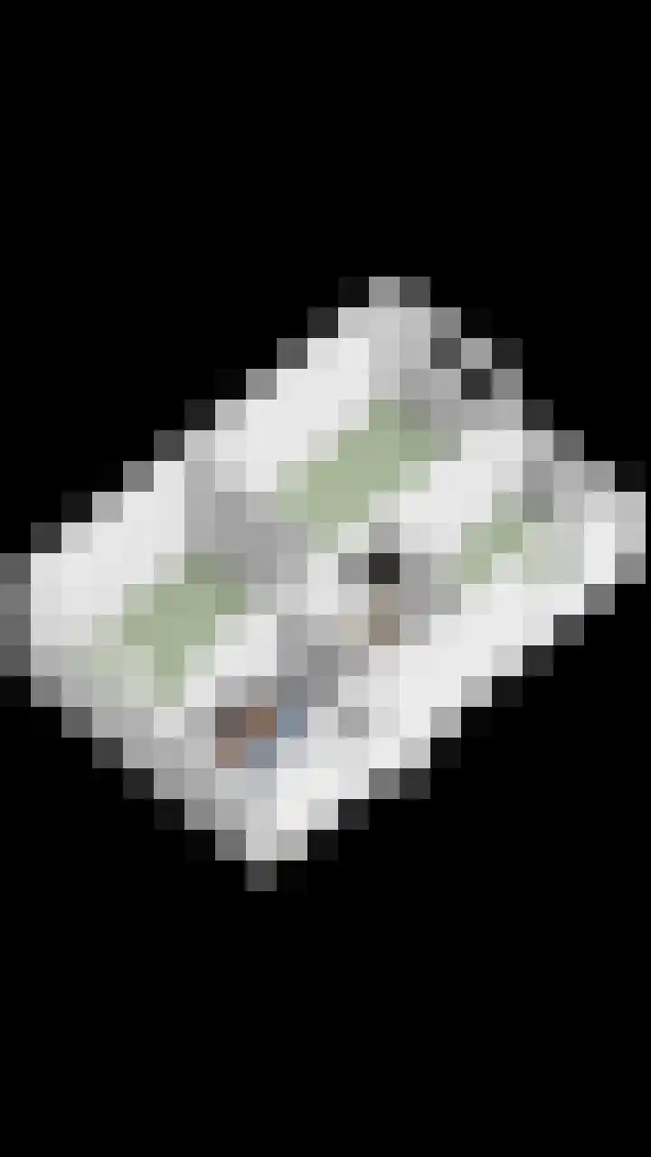de Branden 21 Sprundel thumbnail 43