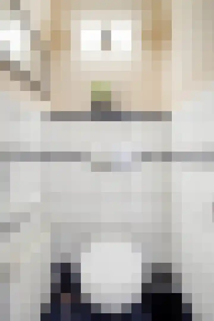 de Branden 21 Sprundel thumbnail 5