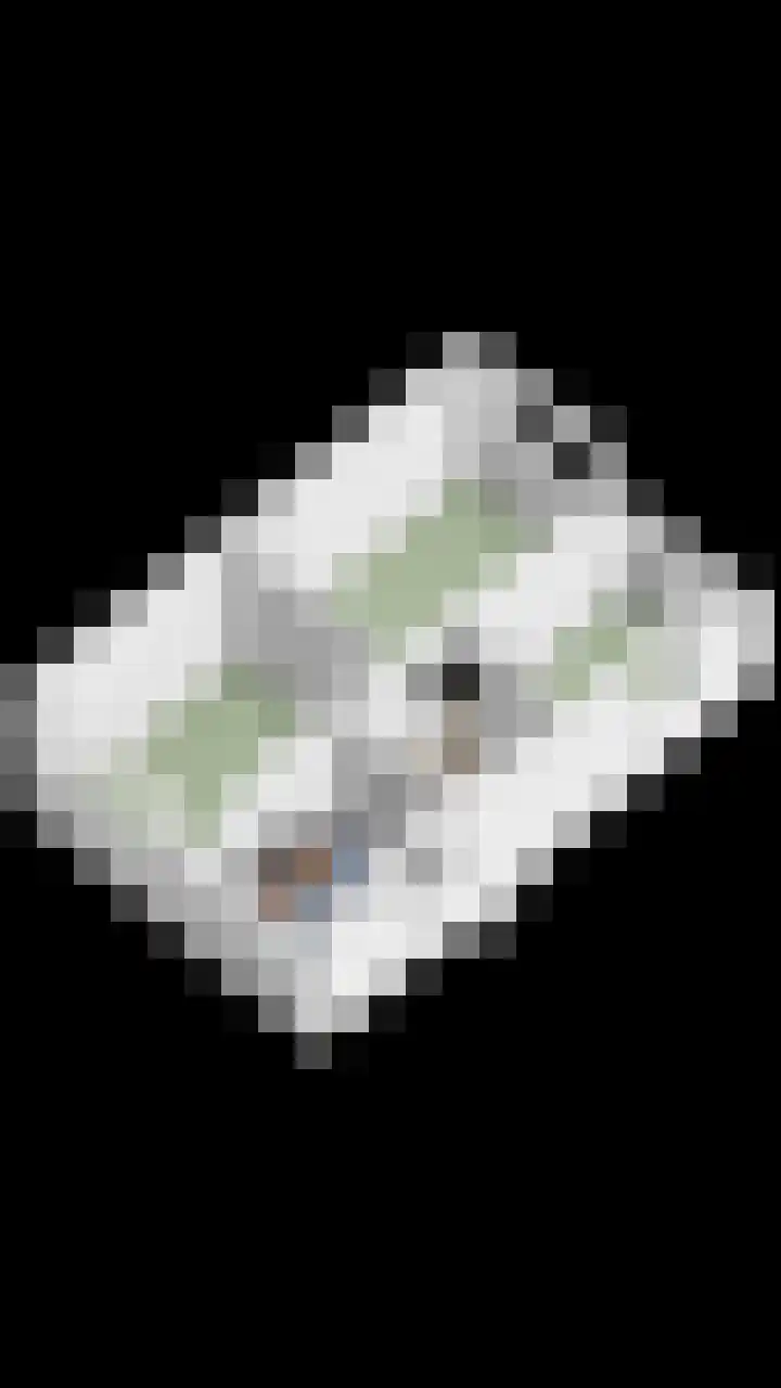 de Branden 21 Sprundel thumbnail 51
