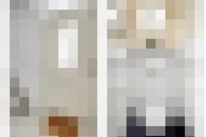 de Branden 21 Sprundel thumbnail 6