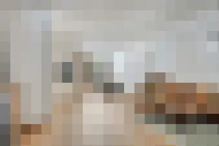 de Branden 21 Sprundel thumbnail 7