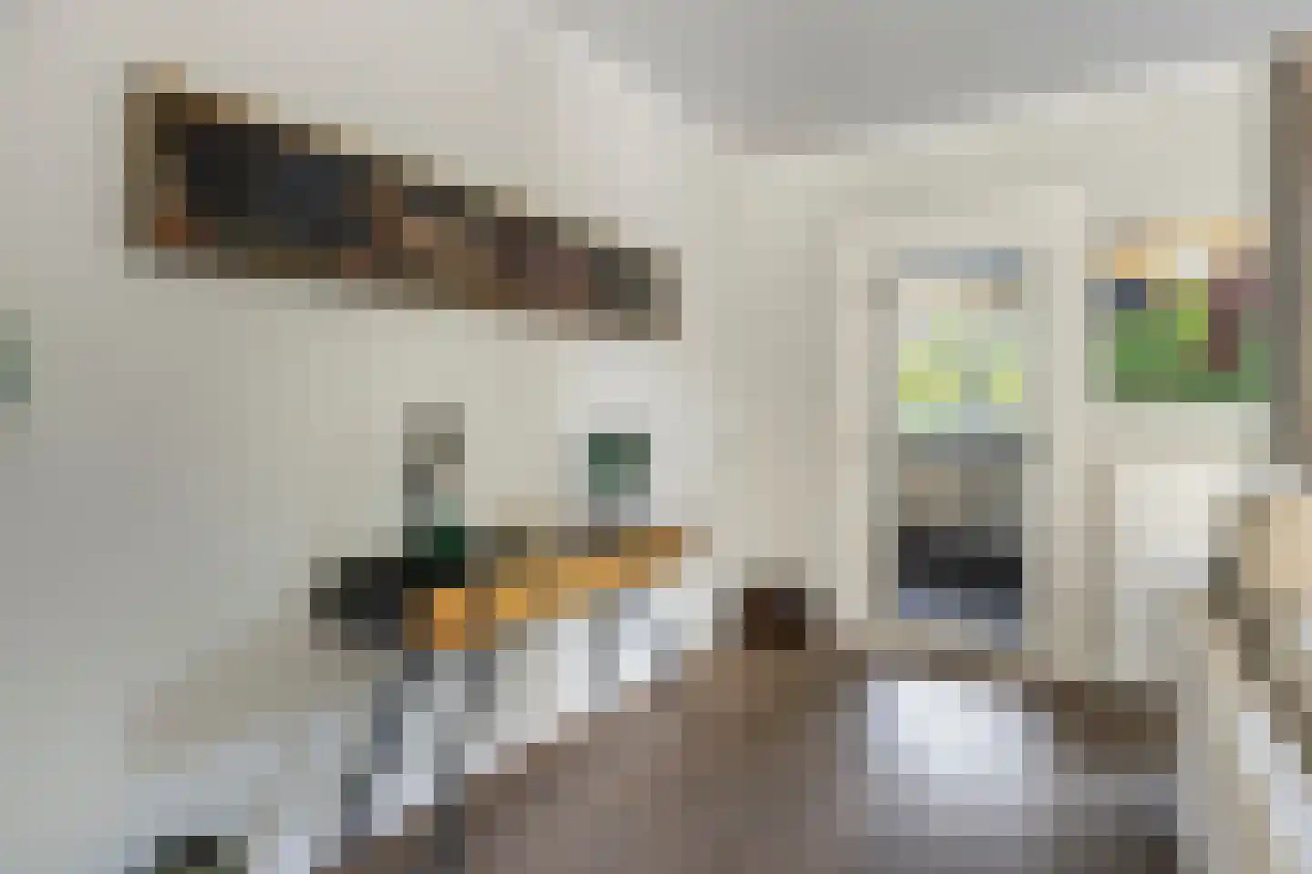 de Branden 23 Sprundel thumbnail 11