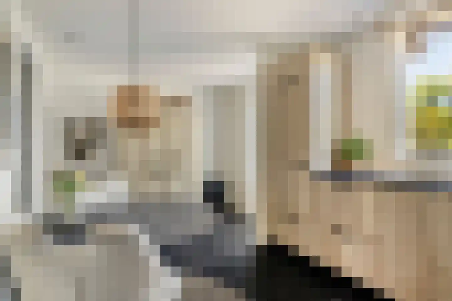 de Branden 23 Sprundel thumbnail 12