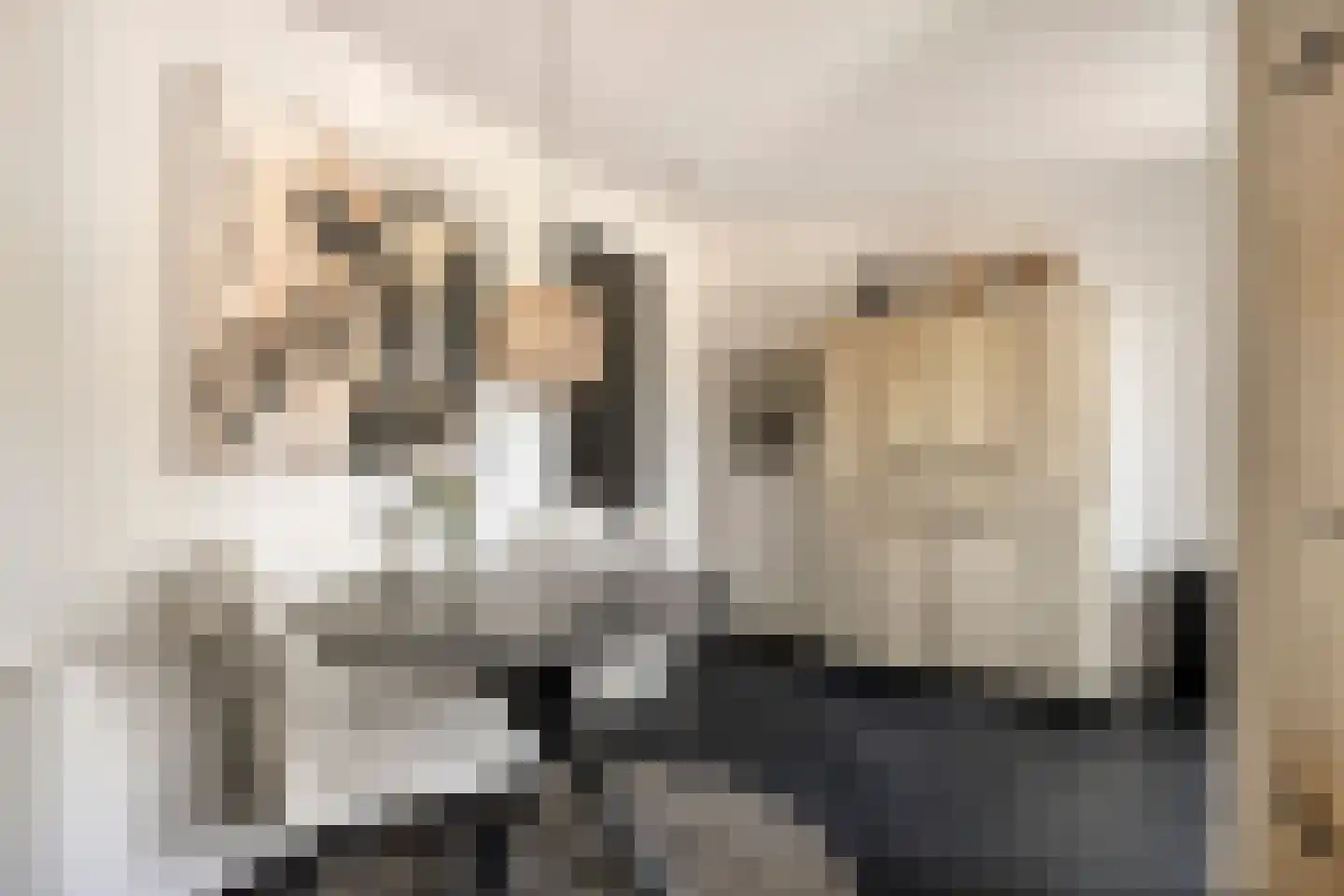 de Branden 23 Sprundel thumbnail 13