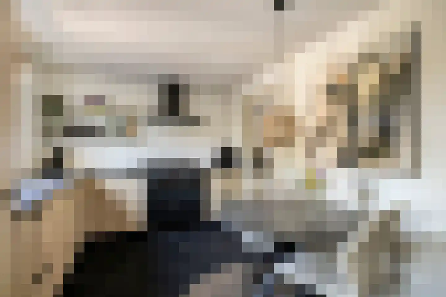 de Branden 23 Sprundel thumbnail 14