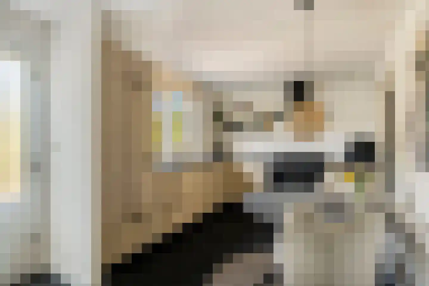 de Branden 23 Sprundel thumbnail 15