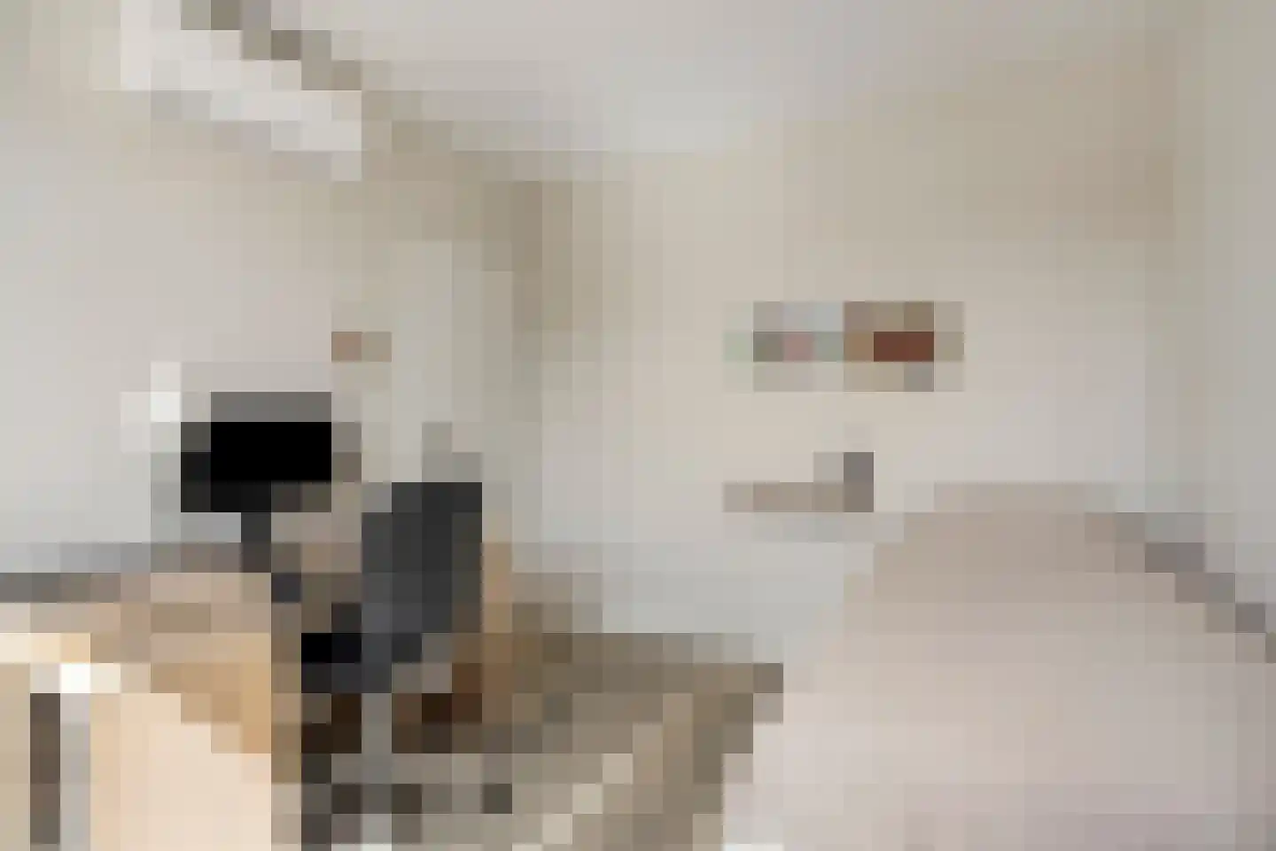 de Branden 23 Sprundel thumbnail 24