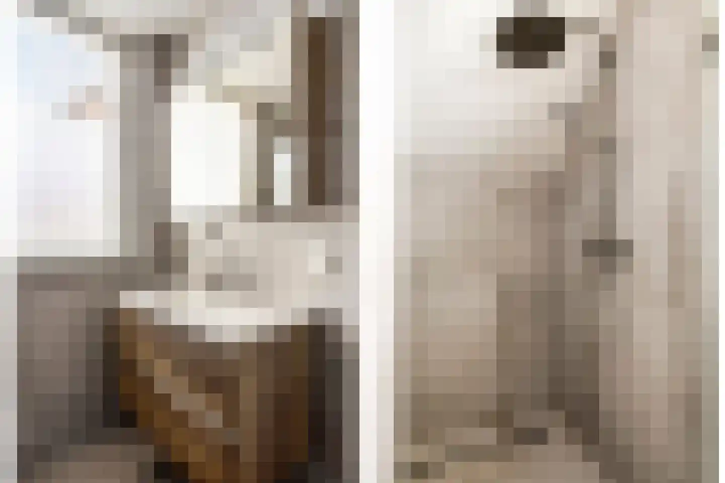 de Branden 23 Sprundel thumbnail 27