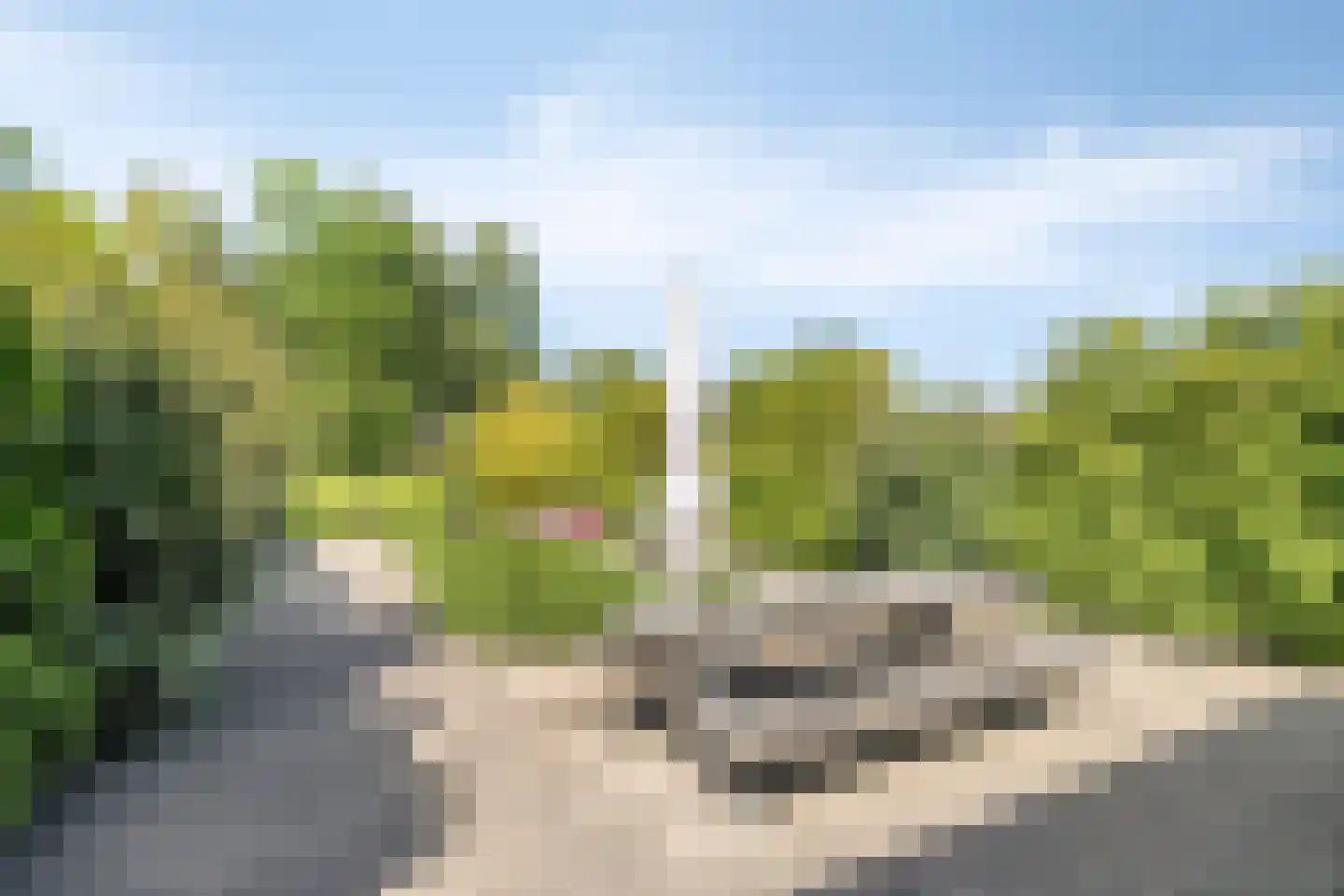 de Branden 23 Sprundel thumbnail 30