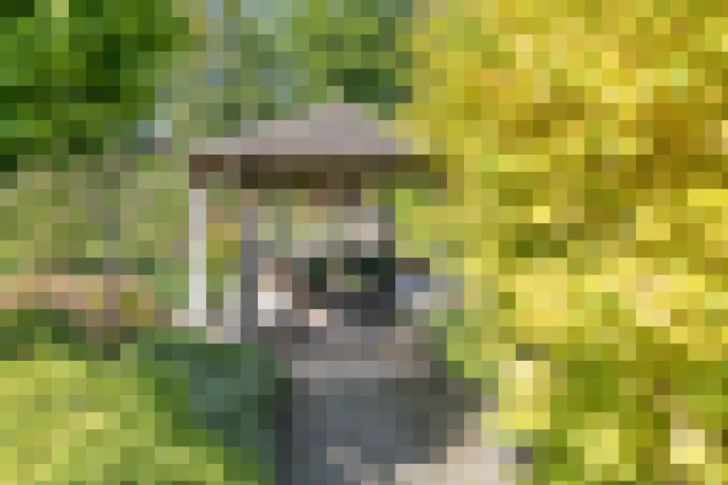 de Branden 23 Sprundel thumbnail 32