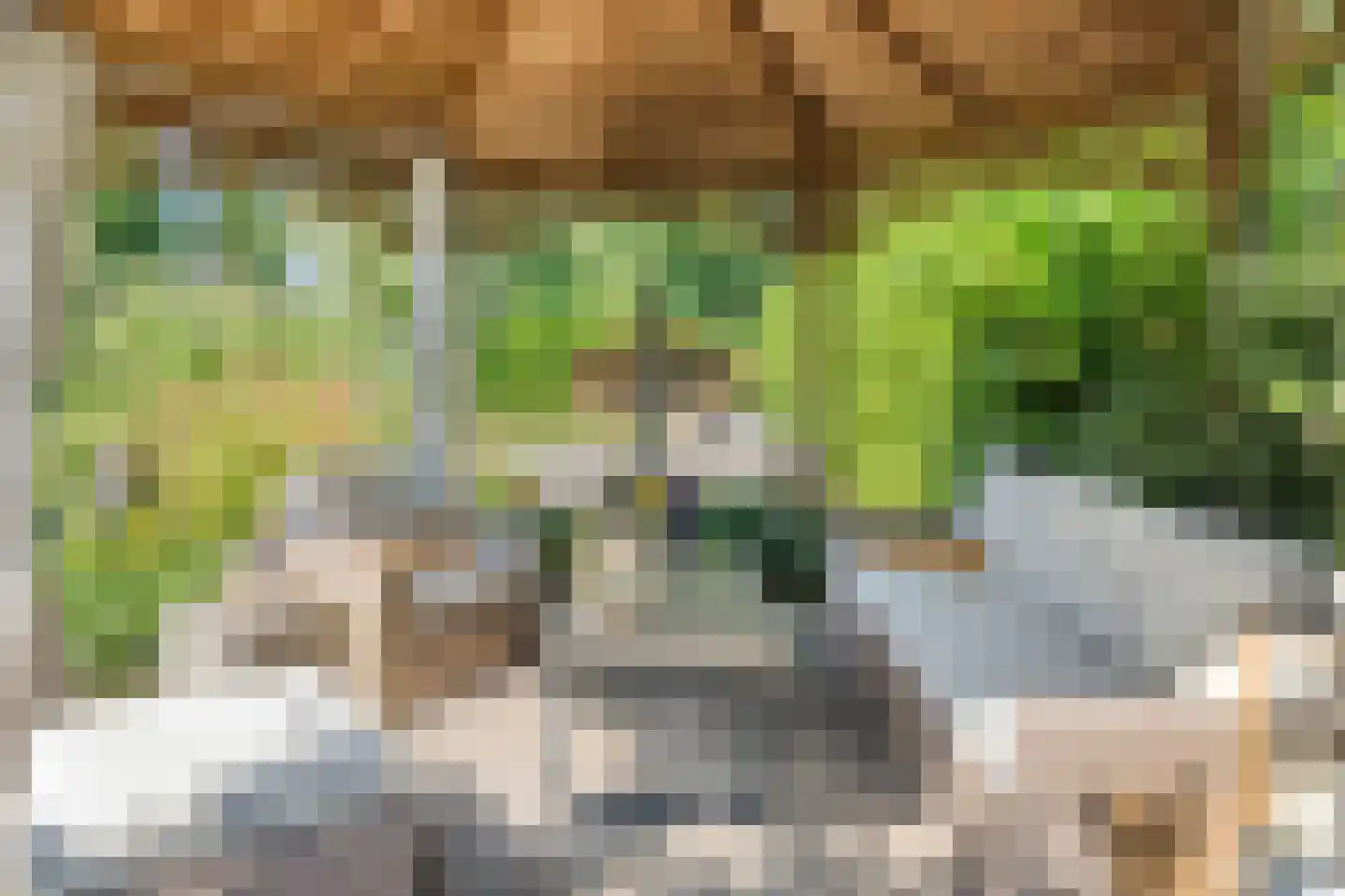 de Branden 23 Sprundel thumbnail 33