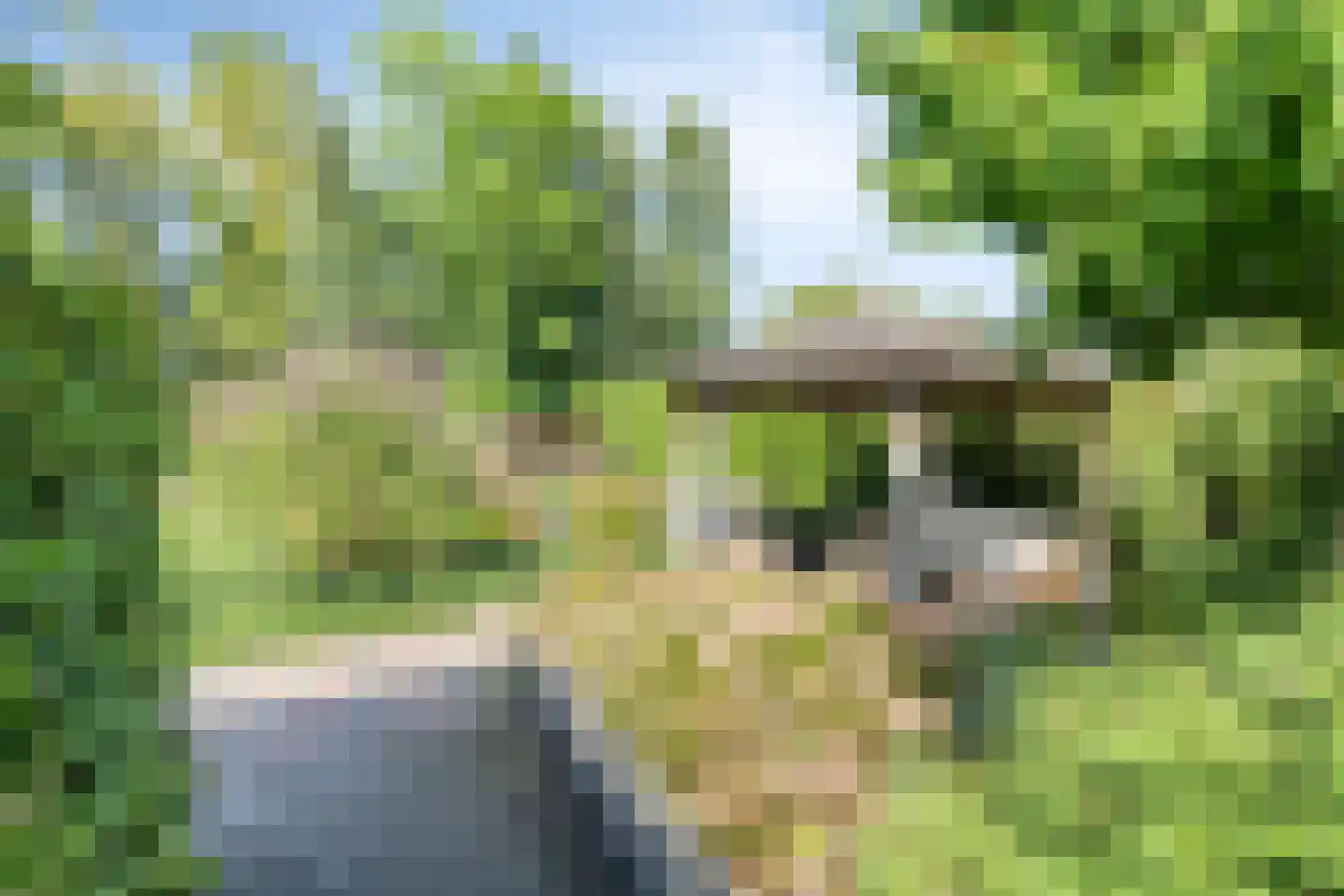 de Branden 23 Sprundel thumbnail 34