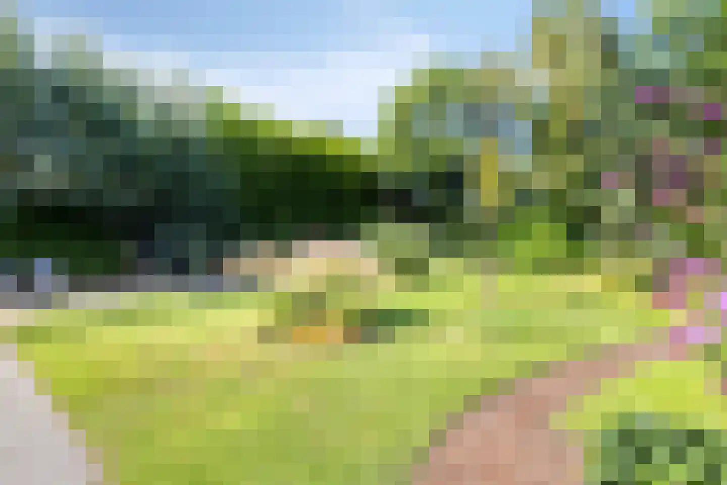 de Branden 23 Sprundel thumbnail 35