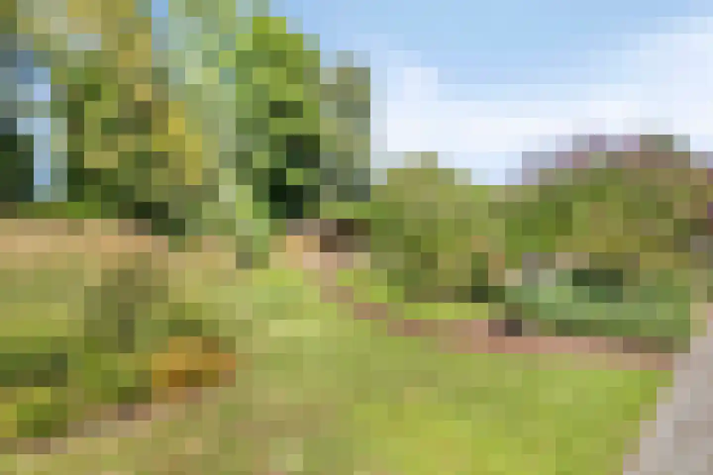 de Branden 23 Sprundel thumbnail 37