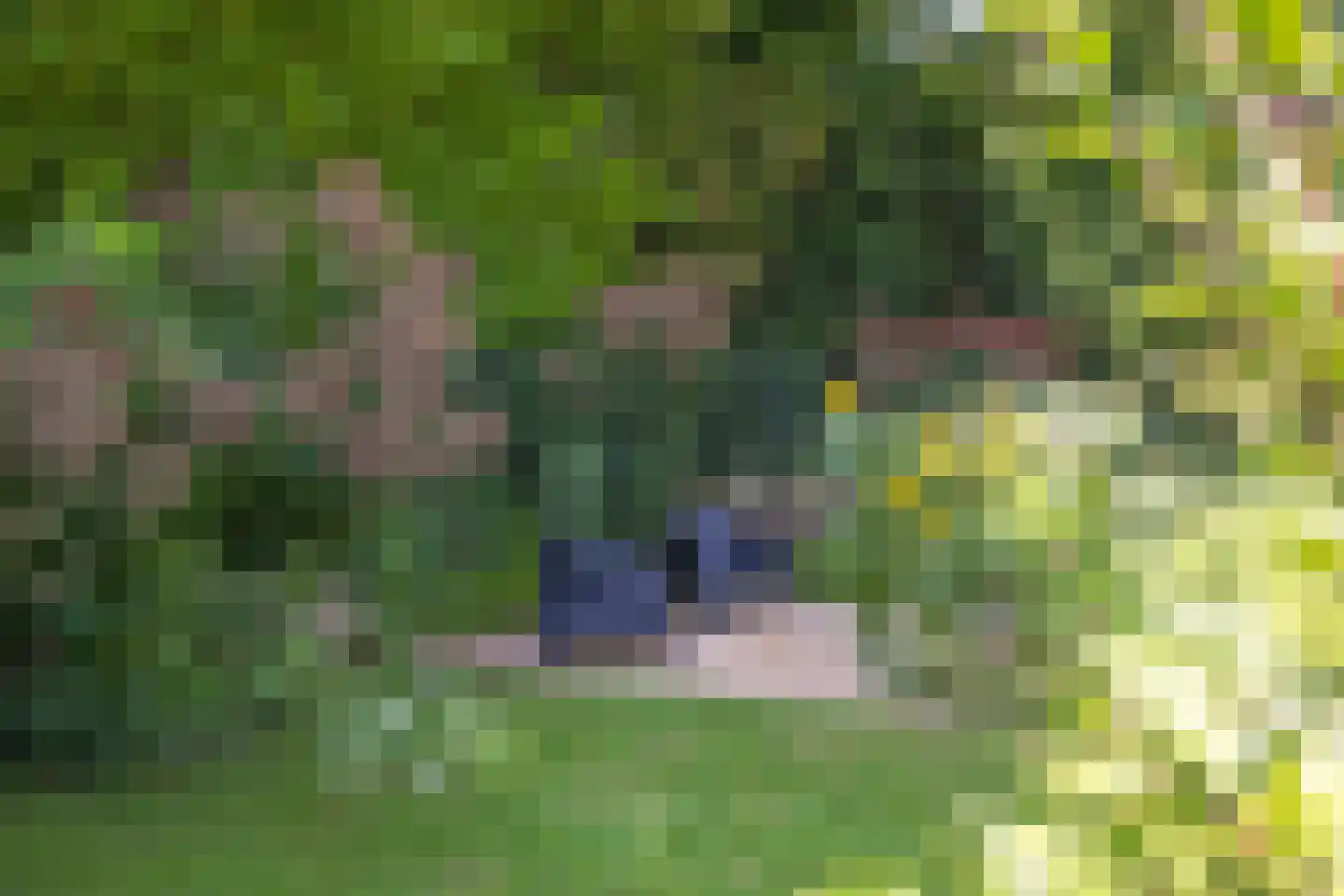 de Branden 23 Sprundel thumbnail 38